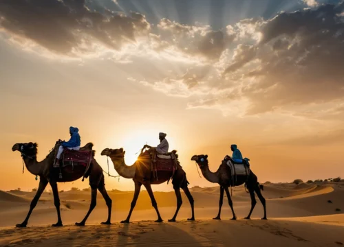 Dubai Desert Safari Tour